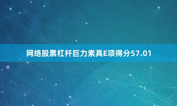 网络股票杠杆巨力索具E项得分57.01