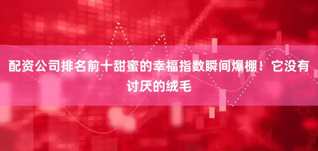 配资公司排名前十甜蜜的幸福指数瞬间爆棚！它没有讨厌的绒毛