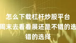 怎么下载杠杆炒股平台但周末去看看展还是不错的选择
