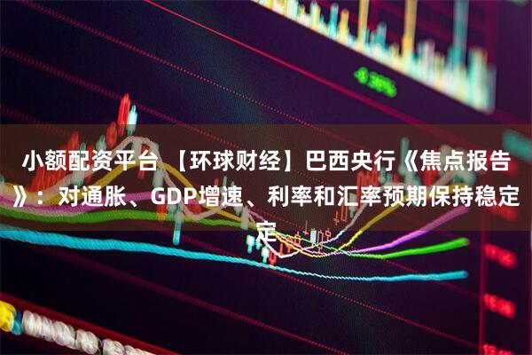 小额配资平台 【环球财经】巴西央行《焦点报告》：对通胀、GDP增速、利率和汇率预期保持稳定
