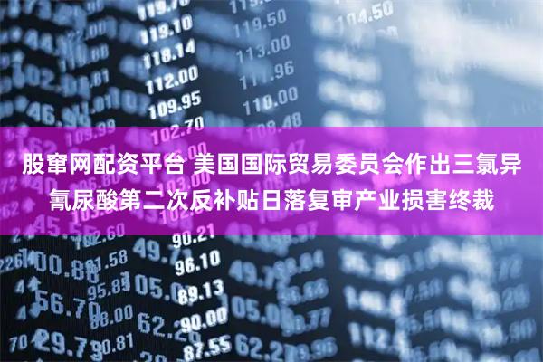 股窜网配资平台 美国国际贸易委员会作出三氯异氰尿酸第二次反补贴日落复审产业损害终裁