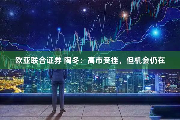 欧亚联合证券 陶冬：高市受挫，但机会仍在