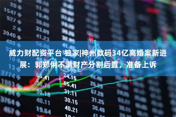 威力财配资平台 独家|神州数码34亿离婚案新进展：郭郑俐不满财产分割后置，准备上诉